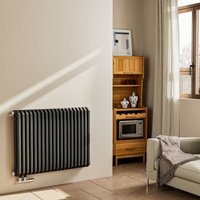 EMKE Heizkörper 600x840 mm D Geformt Design Heizkörper Flach Doppellagig Paneelheizkörper Flachheizkörper Seitenanschluss Anthrazit 1383W von EMKE