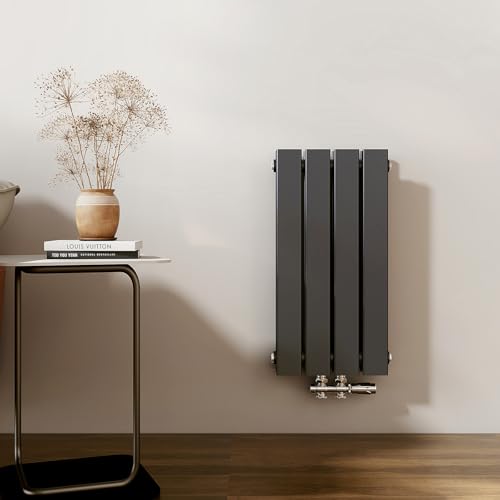EMKE Heizkörper Klein 600x300mm, Vertikal Heizkörper Bad Flachheizkörper Mittelanschluss Design Paneelheizkörper Doppellagig Wandheizkörper Anthrazit 327 Watt von EMKE