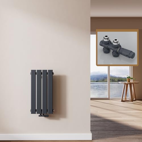 EMKE Heizkörper Klein mit Multiblock 60 x 30 cm, Design Flachheizkörper Einlagig Flach Vertikal Paneelheizkörper Mittelanschluss Wandheizkörper Anthrazit 233 Watt von EMKE