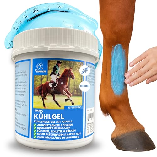 EMMA Kühlgel Pferd I Pferdesalbe kühlend 1000 ml Kühlgel für Pferde mit Arnika Salbe hochkonzentriert I Pferdebalsam kühlend Sehnen, Gelenke & Muskeln I kühlende Salbe mit Arnica Gel bei Muskelkater EMMA Kühlgel Pferd I Pferdesalbe kühlend 1000 ml Kühlgel für Pferde mit Arnika Salbe hochkonzentriert I Pferdebalsam kühlend Sehnen, Gelenke & Muskeln I kühlende Salbe mit Arnica Gel bei Muskelkater von EMMA
