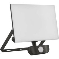 LED Fluter mit Bewegungssensor 30,5 W von EMOS