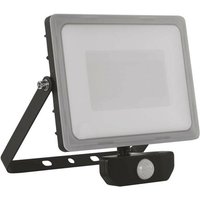LED Fluter mit Milch-PC-Diffusor mit Bewegungssensor 31 W von EMOS
