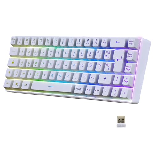 EMPIRE GAMING – 2024 Neu - K508 Kompakte Kabellose Gaming-Tastatur (Französisch) – Wireless/2.4G/Typ-C – PS4/PS5/PC/Mac – RGB Hintergrundbeleuchtung – 23 Anti-Ghosting-Tasten – Weiß von EMPIRE GAMING