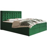 Jora Boxspringbett 160x200 cm, Doppelbett mit Bettkasten, Polsterbett mit Matratze - Grün (Amor Velvet 4311) von EMPORIUS