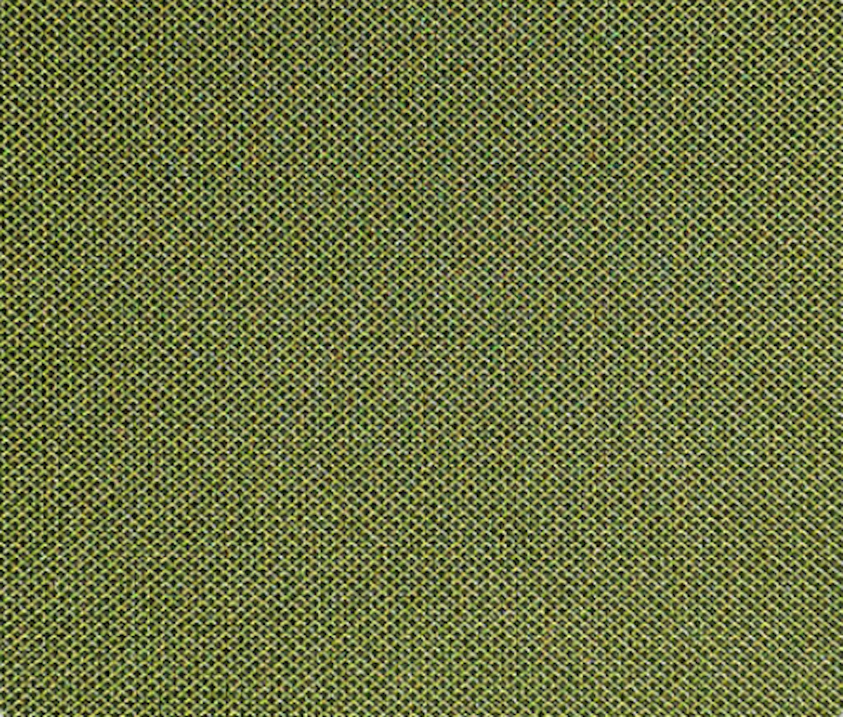 EMU Sitz- oder Rückenkissen C/457 für RONDA X, 100 % Polyester Grün von EMU