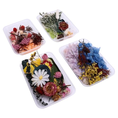 EMUKOEP Lebendige Getrocknete Blumen Set Verbessern das Wohnkultur für Kerzen, die Hochzeitssträuße Machen EMUKOEP Lebendige Getrocknete Blumen Set Verbessern das Wohnkultur für Kerzen, die Hochzeitssträuße Machen von EMUKOEP