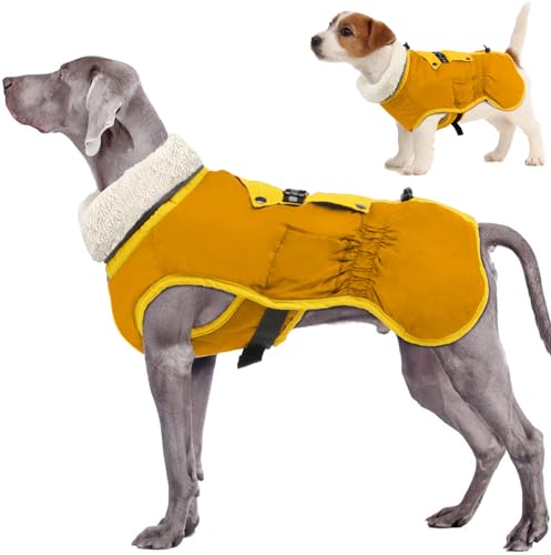 EMUST Hundejacke, Hundewintermantel mit eingebautem Geschirr, Winddichte Wintermantel für kleine Hunde, Fleece-Rollkragen-Hundebekleidung für kaltes Wetter für Welpen kleine Hunde, Orange S von EMUST