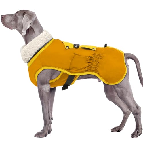 EMUST Hundemantel, Winddichte Hundewinterjacke mit faltbarem Rollkragen, große Hundemäntel für kalte Winter, Dicke Haustierbekleidung mit Schnallen für extra große Hunde, Orange XL von EMUST