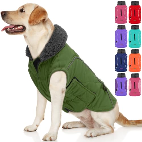 EMUST Hundejacke Winter, Kaltwettermäntel für Hunde, weiche Wintermantel für mittelgroße Hunde, Hundewinterweste für kleine, mittelgroße Hunde, NeuGrün, L von EMUST