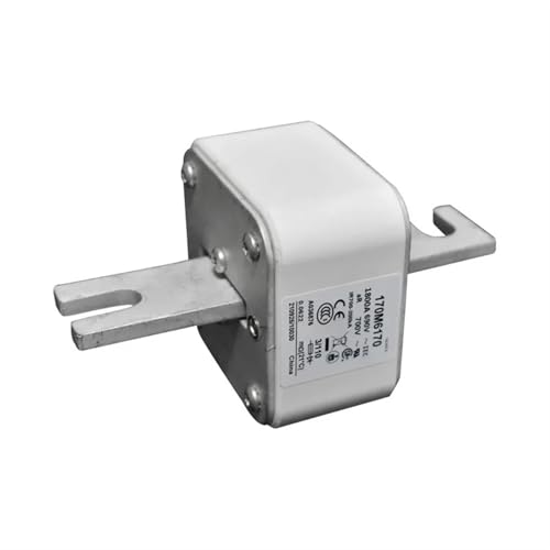 EMVIXTGLK 170M7260 170M7481 170M7488 170M7489 Sicherung Standard Sicherung Garten Werkzeuge(170M7489) von EMVIXTGLK