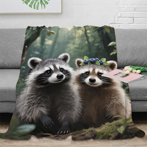 EMYXPAQM Waschbären Kuscheldecke Muster Zwei Waschbärenbabys Sofadecke Wohnzimmerdecke Flauschig Fleece-Decke Weich Flanell Geschenk Für Sie Und Ihn 50x60inch(127x152cm) von EMYXPAQM