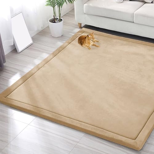 EN AyuL Großer Teppich, Korallensamt, Baby-Spielmatte, dicker Kinderzimmerteppich für Kinder, Krabbelmatte, Tatami-Yogamatte, rutschfeste Bodenmatte, Übungsunterlagen (120 x 200 cm, braun) von EN AyuL