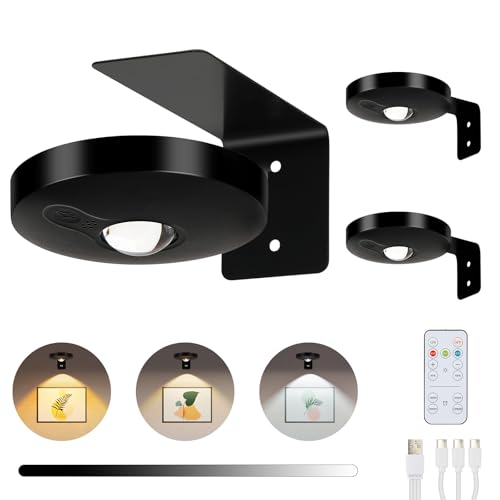 ENCOFT Bilderleuchte Kabellos Dimmbar Bildbeleuchtung Led Spot Akku Schwarz Bilderlampe mit 3 Farbtemperaturen Picture Light mit Fernbedienung Magnetische Timer(3 Pack von ENCOFT