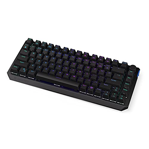 ENDORFY Thock 75% Wireless Black, 75% kabellose mechanische Tastatur, QWERTY, Kailh Box Black-Schalter, RGB, PBT-Tastenkappen, kabellose BT- und 2,4-GHz-Verbindung, erweiterte Software | EY5A074 von ENDORFY