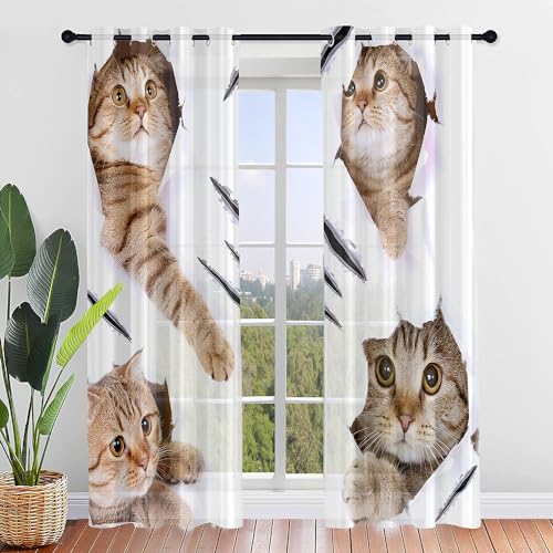 ENEN 2er Set Scheibengardinen Modern Halbtransparent Bistrogardine, 3D Cartoon-Katze Schlaufengardinen Gardinen Küche, Türgardine für Schlafzimmer Wohnzimmer (80x115cm,Katze) von ENEN