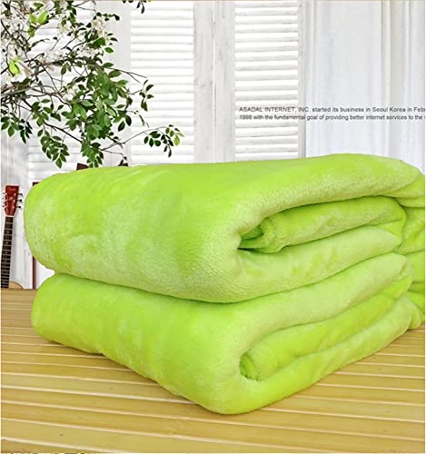 ENEN Kuscheldecke Sofa Flauschige Decke Flanell Weich und Warm Fleecedecke für Bett Couch, Wohndecke als Sofadecke Bettüberwurf Für Sofaüberwurf oder Wohnzimmerdecke (100x150cm,Fruchtiges Grün) von ENEN
