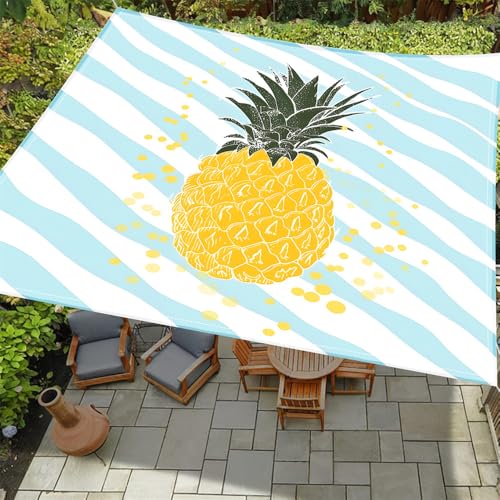 ENEN Sonnensegel Wasserdicht Quadrat Sonnensegel Balkon Sonnenschutz Schutz Windschutz Schattennetz Camping Reißfest Wetterfest für Garten Terrasse (Wasserananas,1.5x1.5m) von ENEN
