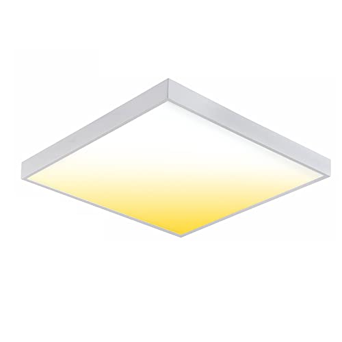 ENERGMiX 60x60 LED CCT Smart Wi-Fi Panel Aufputz Panel Aufbau Deckenleuchte Deckenlampe Dimmbar Sprachsteuerung Smartphone (APP) Steuerung inkl. Rahmen von ENERGMiX
