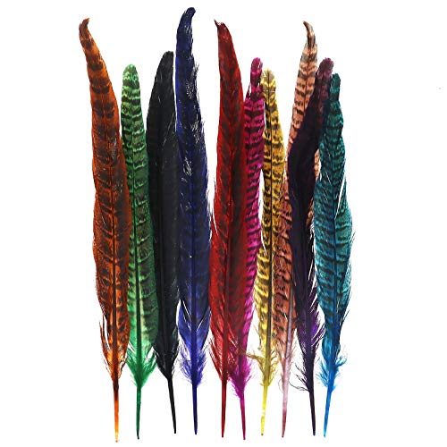 YINETTECH Natur-Fasanfedern, 25–30 cm, Schwanzfedern für Dekoration, mehrfarbig von ENET