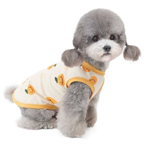 Hundekleidung für Klein Hund,Katzenkleid,Weste für Chihuahua Pudel Yorkshire Orange klein S von ENGEL WEMANG