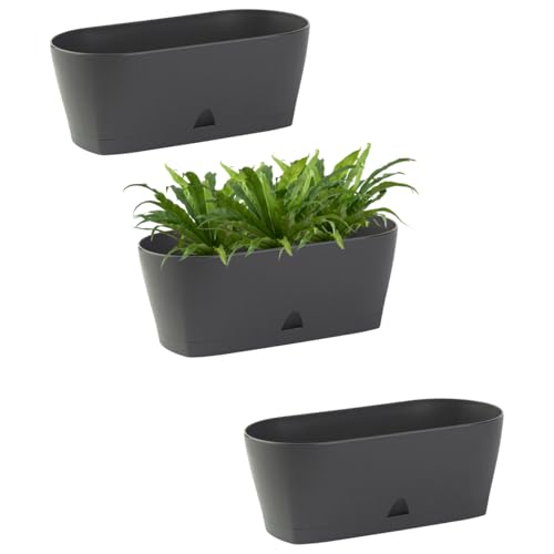 ENGELLAND - 3 x Blumenkasten mit Untersetzer, Anthrazit, Balkonkasten, Pflanztopf, 25 cm, Tischdeko, für Garten, Terrasse, Fensterbank, mit Wasserauffangschale, Innen- & Außenbereich, 1,7 Liter ENGELLAND - 3 x Blumenkasten mit Untersetzer, Anthrazit, Balkonkasten, Pflanztopf, 25 cm, Tischdeko, für Garten, Terrasse, Fensterbank, mit Wasserauffangschale, Innen- & Außenbereich, 1,7 Liter von Engelland