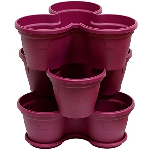 ENGELLAND 3X Blumentopf, Säulentopf, Pflanzturm, Hochbeet, Pflanztopf-Kübel mit Untersetzer, stapelbar, widerstandsfähig, Kunststoff, für Außenbereich, 33 Liter, Farbe: Lila ENGELLAND 3X Blumentopf, Säulentopf, Pflanzturm, Hochbeet, Pflanztopf-Kübel mit Untersetzer, stapelbar, widerstandsfähig, Kunststoff, für Außenbereich, 33 Liter, Farbe: Lila von ENGELLAND
