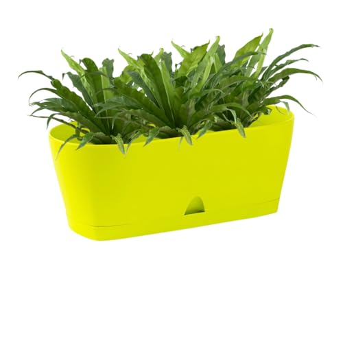 ENGELLAND - 1 x Blumenkasten mit Untersetzer, Grün, Balkonkasten, Pflanztopf, 25 cm, Tischdeko, für Garten, Terrasse, Fensterbank, mit Wasserauffangschale, Innen- & Außenbereich, 1,7 Liter von Engelland