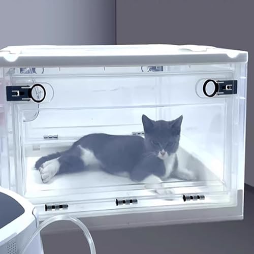 ENHEN Haustier Sauerstoff Inhalation Box Transparente Sauerstoff-Inhalationsbox für Welpen, Kätzchen, Hamster, Welpen, Husten, Atmen, Brutkasten, Aufzuchtnest mit Rädern, Zerstäubungs-Sprühkammer(L) ENHEN Haustier Sauerstoff Inhalation Box Transparente Sauerstoff-Inhalationsbox für Welpen, Kätzchen, Hamster, Welpen, Husten, Atmen, Brutkasten, Aufzuchtnest mit Rädern, Zerstäubungs-Sprühkammer(L) von ENHEN