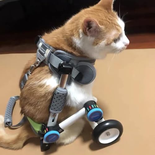Rollstuhl für Hunde Verstellbarer Leichtes Hund Rollstuhl, Kleiner Katzen -Haustierwagen mit Weichem Gurt, Unterstützung Von Handicap Tier Schwache Hinterbeine Rehabilitationstraining (Size : XXS Siz von ENHEN