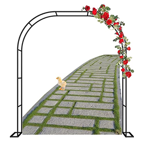ENLLY Rosenbogen Verzinkt Torbogen Rankhilfe Spalier Rosenhilfe Metall 120x220cm 180x220cm 240x220cm Gartenbogen Rankgitter Freistehend Rosengestell Rankbogen Für Kletterpflanzen(Größe:W240XH220CM) von ENLLY
