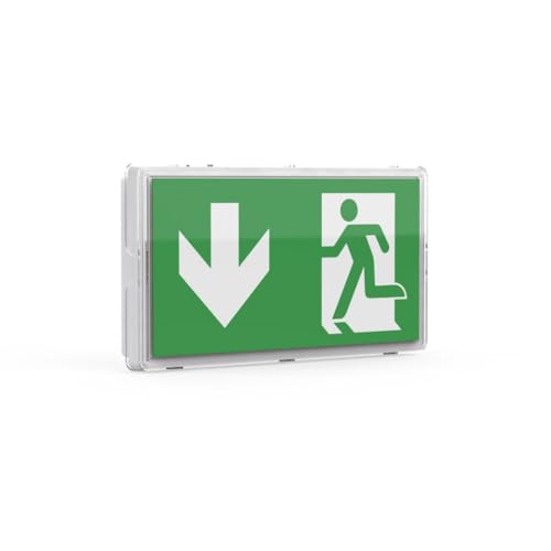 ENOVALITE LED Fluchtwegleuchte Notleuchte mit Akku und Test-Funktion - Dauerbetrieb o. Notbetrieb - Aufbau Einbau - Rettungsweg Notausgang Notfall EXIT IP65 (8h Akku) von ENOVALITE