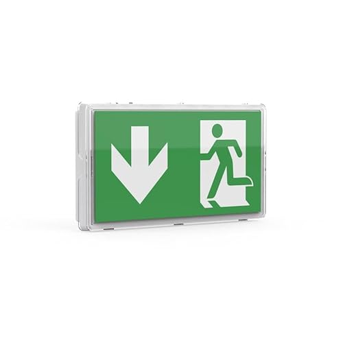 ENOVALITE LED Fluchtwegleuchte Notleuchte mit Akku und Test-Funktion - Dauerbetrieb o. Notbetrieb - Aufbau Einbau - Rettungsweg Notausgang Notfall EXIT IP65 - mit Fernbedienung von ENOVALITE