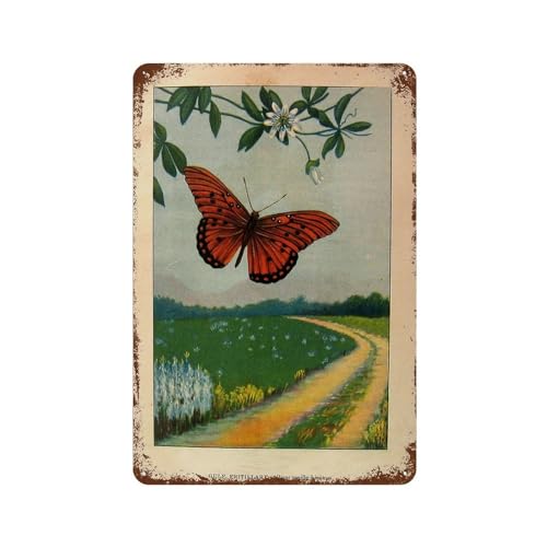Schmetterlinge Viceroy Retro Poster Metall Blechschild Chic Kunst Retro Eisen Malerei Bar Menschen Höhle Cafe Familie Garage Wanddekoration Schmetterlinge Viceroy Retro Poster Metall Blechschild Chic Kunst Retro Eisen Malerei Bar Menschen Höhle Cafe Familie Garage Wanddekoration von ENQIAOLIU