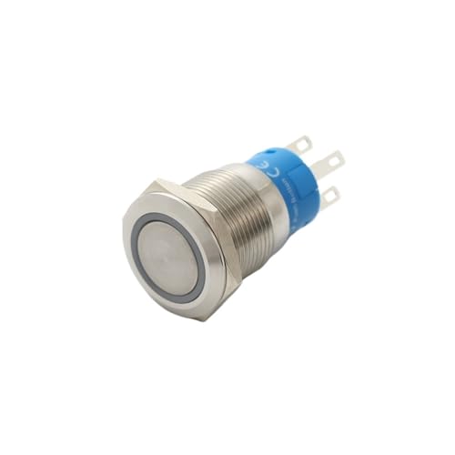 1 STÜCK 19 mm 1NO1NC Momentary oder selbstsichernder Drucktastenschalter(WHITE,1NO1NC_12V) von ENRHQENK