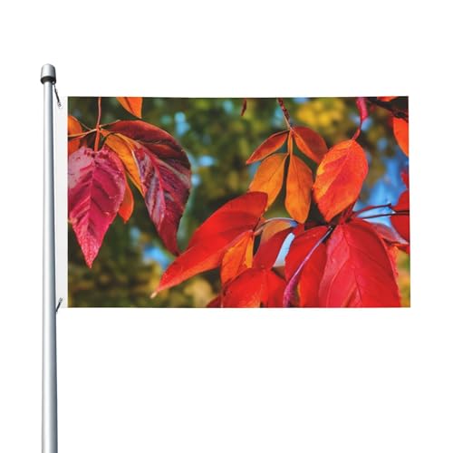 Bedruckte doppelseitige Flagge für den Innen- und Außenbereich, Motiv: rote Blätter und Früchte, dekorative Größe 90 x 152 cm Bedruckte doppelseitige Flagge für den Innen- und Außenbereich, Motiv: rote Blätter und Früchte, dekorative Größe 90 x 152 cm von ENRPTY