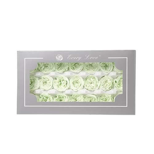 Konservierte Austin Rose - Frische Blumen für Party Dekoration, Forever Chocolate Austin Rose Head - Perfekte Valentine Ewige und Natürliche Blumendekorationen Handgemachte DIY Essential (Hellgrün) von ENSES LOYUFE
