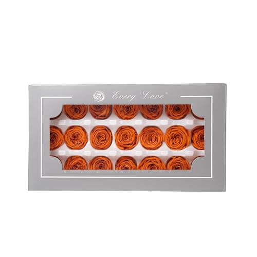 Konservierte Austin Rose - Frische Blumen für Party Dekoration, Forever Chocolate Austin Rose Head - Perfekte Valentine Ewige und Natürliche Blumendekorationen Handgemachte DIY Essential (Orange) von ENSES LOYUFE