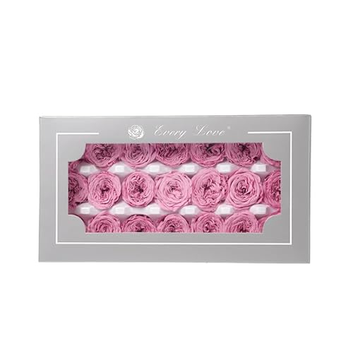 Konservierte Austin Rose: Frische Blumen für Partydekoration, Forever Schokolade Austin Rosenkopf - perfekter Valentinstag, ewige und natürliche Blumenschmuck zum Selbermachen. Handgemachte Heimwerker von ENSES LOYUFE