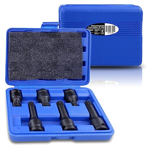 ENVA Kraft Bit Einsatz 1/2" 6-tlg Hochleistungswerkzeug für effiziente Arbeiten Innenvielzahn M14 M16 M18 von ENVA MADE FOR QUALITY