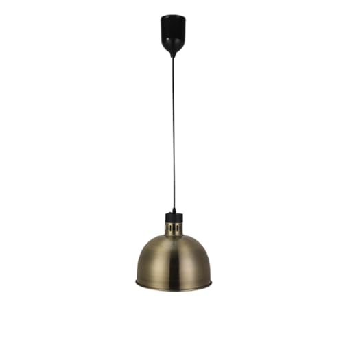 ENWYTE Hängende Wärmelampe Speisen kommerzielle Speisenwärmer Stahl einziehbar hohe Leistung höhenverstellbar Buffets Hotels Küchen RestaurantsDisplay-Tellerwärmer(Copper,29CM) von ENWYTE