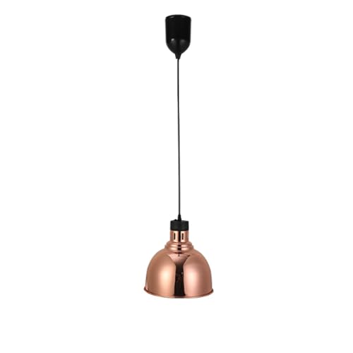 ENWYTE Hängende Wärmelampe Speisen kommerzielle Speisenwärmer Stahl einziehbar hohe Leistung höhenverstellbar Buffets Hotels Küchen RestaurantsDisplay-Tellerwärmer(Gold,25CM) von ENWYTE