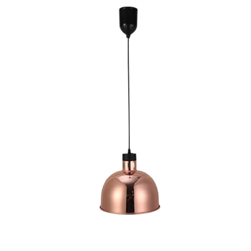 ENWYTE Hängende Wärmelampe Speisen kommerzielle Speisenwärmer Stahl einziehbar hohe Leistung höhenverstellbar Buffets Hotels Küchen RestaurantsDisplay-Tellerwärmer(Gold,29CM) von ENWYTE