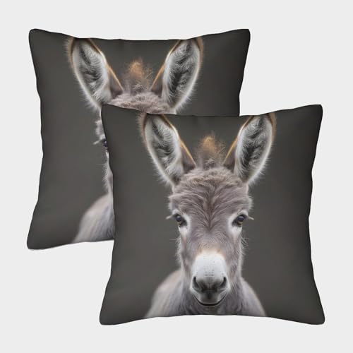 ENYISIYULO 3D-Druck Deko Kissenbezug Esel 2er Set Kissenhülle Dekorative Weiche Fashion Esel Sofakissen Für Couch Schlafzimmer Outdoor Gartenbett Balkon 45x45cm von ENYISIYULO