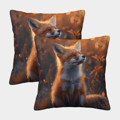 ENYISIYULO 3D-Druck Deko Kissenbezug Süßer Fuchs 2er Set Kissenhülle Dekorative Weiche schöne Lowrie Sofakissen Für Couch Schlafzimmer Outdoor Gartenbett Balkon 45x45cm von ENYISIYULO