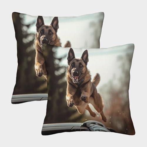 ENYISIYULO Belgian Tervuren Dog Kissenbezug 2er-Set Weiche Wurfkissenbezug Hound Dog 3D-Gedruckt Für Autodekoration,zuhause,Sofa,bettwasche 45x45cm von ENYISIYULO