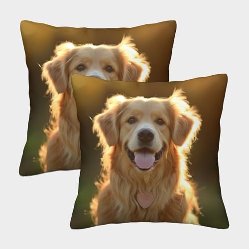 ENYISIYULO Deko Kissenbezug Golden Retriever 2er Set Modern Dekokissen Kissenbezüge Blindenhund Sofakissen Für Couch Schlafzimmer Outdoor Gartenbett Balkon 45x45cm ENYISIYULO Deko Kissenbezug Golden Retriever 2er Set Modern Dekokissen Kissenbezüge Blindenhund Sofakissen Für Couch Schlafzimmer Outdoor Gartenbett Balkon 45x45cm von ENYISIYULO
