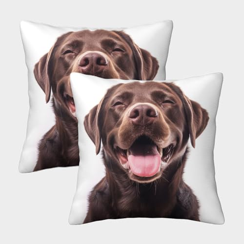 ENYISIYULO Labrador Retriever Kissenbezüge 2er-Set Weiche Wurfkissenbezug Guide Dog 3D-Gedruckt Für Wohnzimmer Personalisierte Wohnkultur 40x40cm von ENYISIYULO