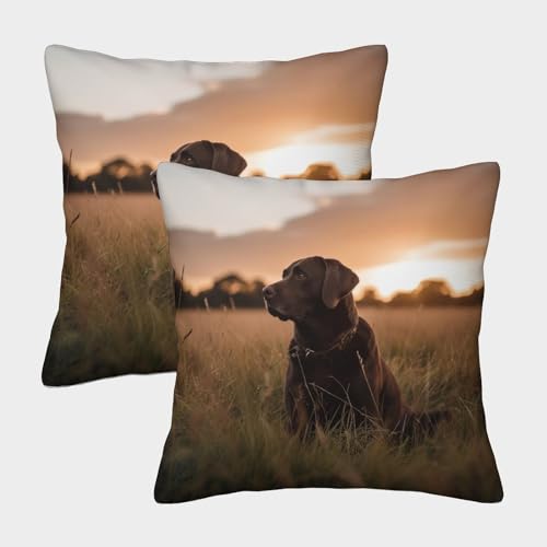 ENYISIYULO Labrador Retriever Kissenbezug 2er-Set Weiche Wurfkissenbezug Guide Dog 3D-Gedruckt Für Wohnzimmer Personalisierte Wohnkultur 50x50cm von ENYISIYULO