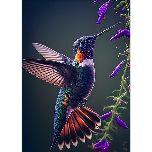 EOBROMD Diamond Painting Erwachsene Kolibri, 5D Diamant Painting Bilder Erwachsene Blumen, DIY Diamond Painting Bilder Diamant Malerei Tiere Set für Wanddekoration 30x40cm von EOBROMD