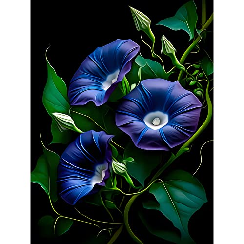 EOBROMD Diamond Painting Blume, 5D Diamant Painting Bilder Erwachsene Petunia, DIY Diamond Painting Bilder Diamant Malerei Petunia Set für Wanddekoration 30x40cm von EOBROMD